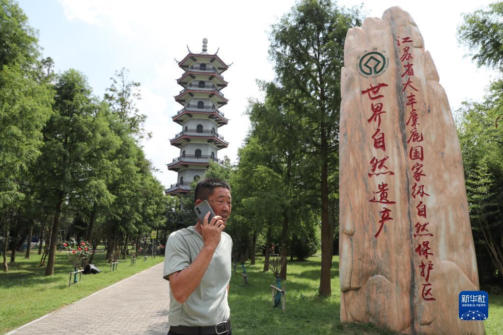 棋牌娱乐送金